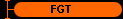  FGT 